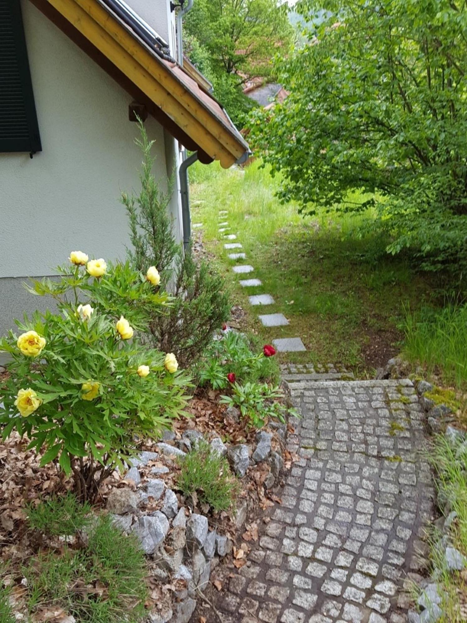 Gartenwohnung Bodetalblick Thale Exterior photo